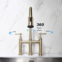 Pull Down Double Handle Kitchen Faucet---dk - Brushed Gold