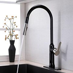 Classic Two Color Pull Down Single Handle Kitchen Faucet - Matte Black