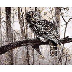 44/5000 The Owl On The Branch (painting By Numbers Kit) - 40x50cm