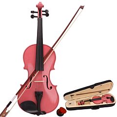 Full Size 4/4 Acoustic Violin Set,beginner Violin Vintage Solid Wood Violin Starter Kit With Carrying Case,bow And Rosin (pink) Rt - Pink