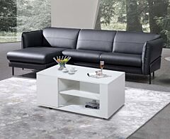 Mobile Double Door Double Coffee Table Coffee Table - White