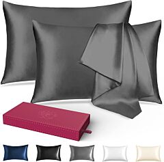 Silk Pillowcase For Hair And Skin 2 Pack, 22 Momme 100% Mulberry Silk & Natural Wood Pulp Fiber Double-sided Design, Silk Pillow Covers With 600 Thread Count, Hidden Zipper (20"x26", Dark Grey) - Dark Grey