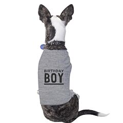Birthday Boy Pets Grey Shirt